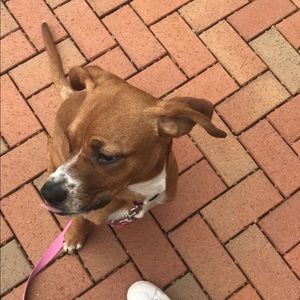 Meet your Posher, Samuel